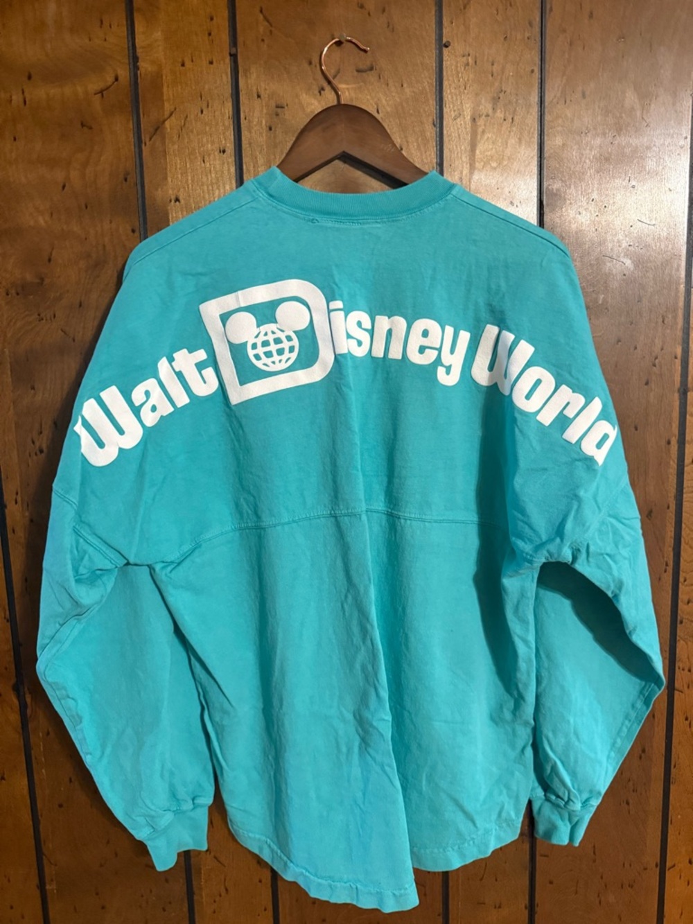 Walt Disney World Teal Graphic Pullover Sweatshirt